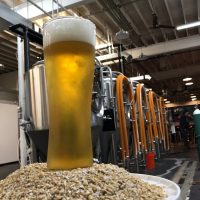 NO. 1 DRY HOPPED KOLSCH